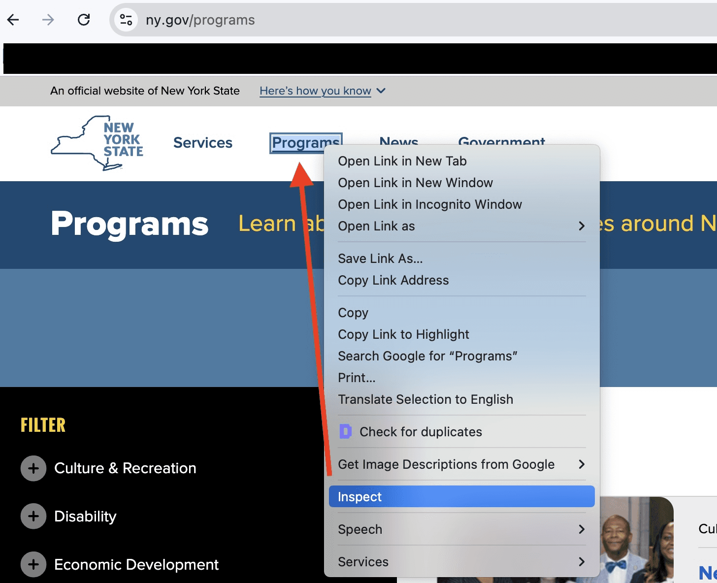 Screenshot of New York State website's header with option to choose inspect tool