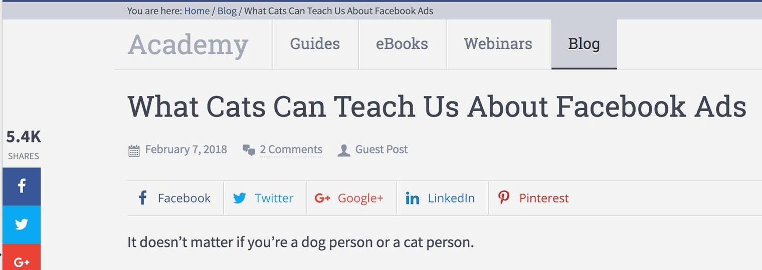 Screenshot: Blog title 'What Cats Can Teach Us about Facebook Ads